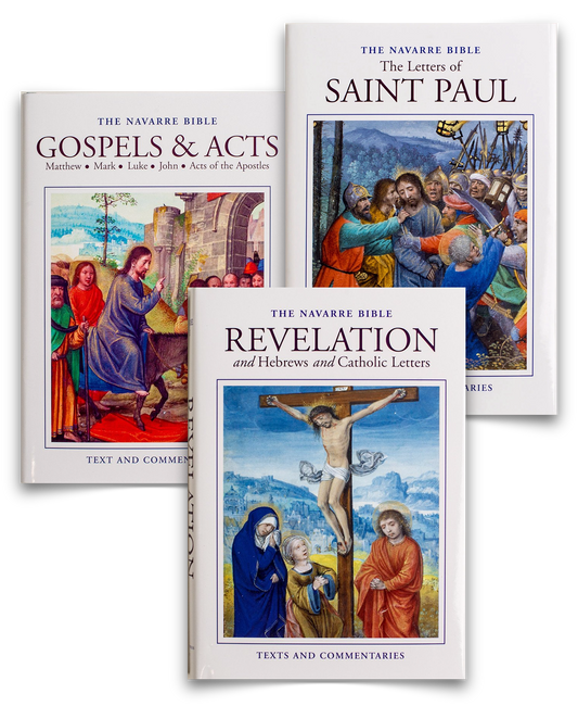 The Navarre Bible - New Testament Hardback Set - Scepter Publishers