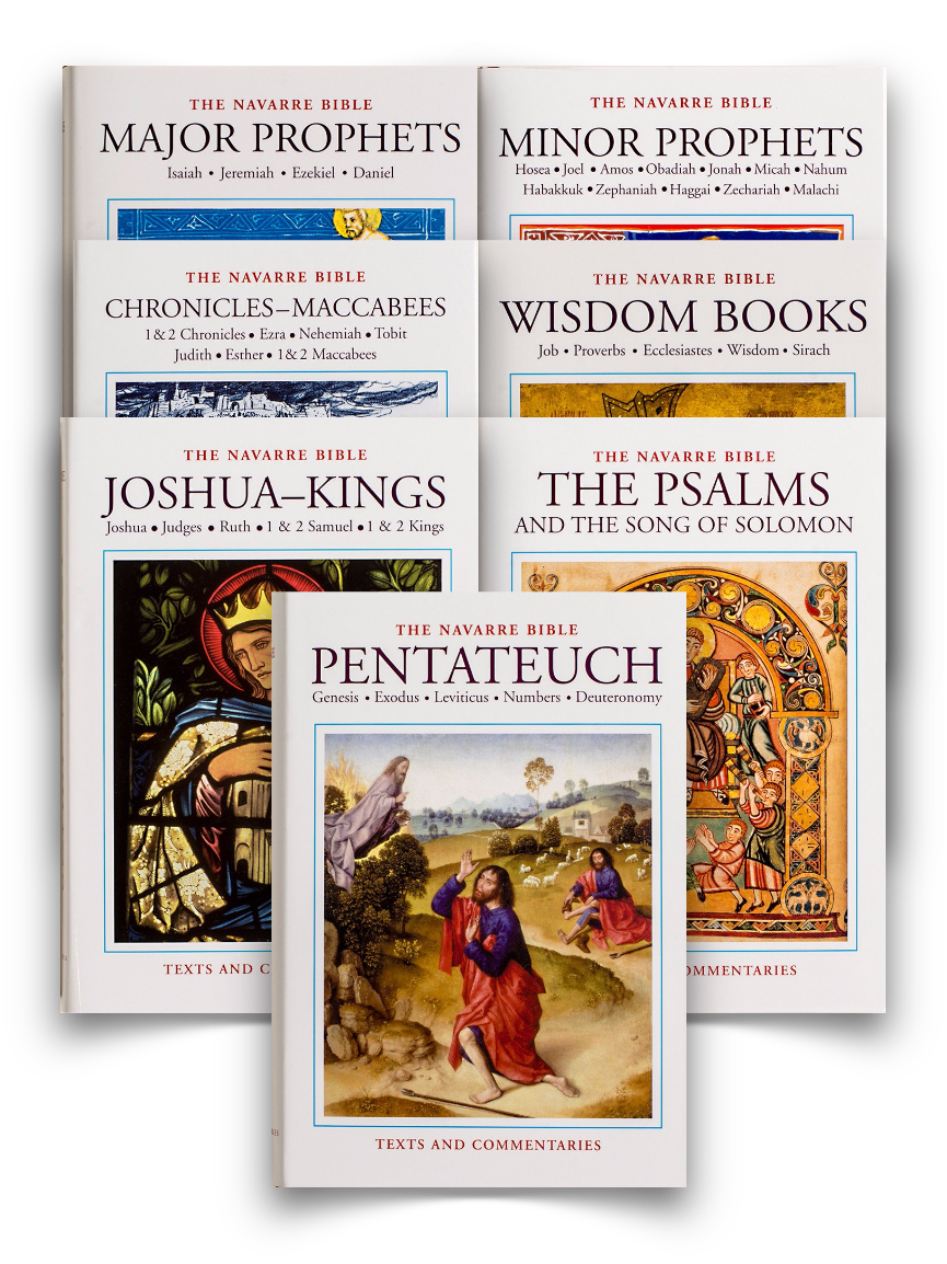 The Navarre Bible - Old Testament 7-Volume Set - Scepter Publishers