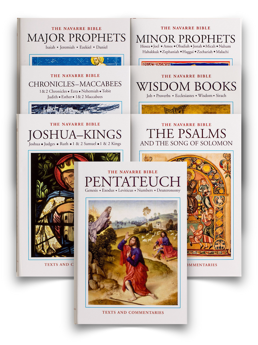 The Navarre Bible - Old Testament 7-Volume Set - Scepter Publishers