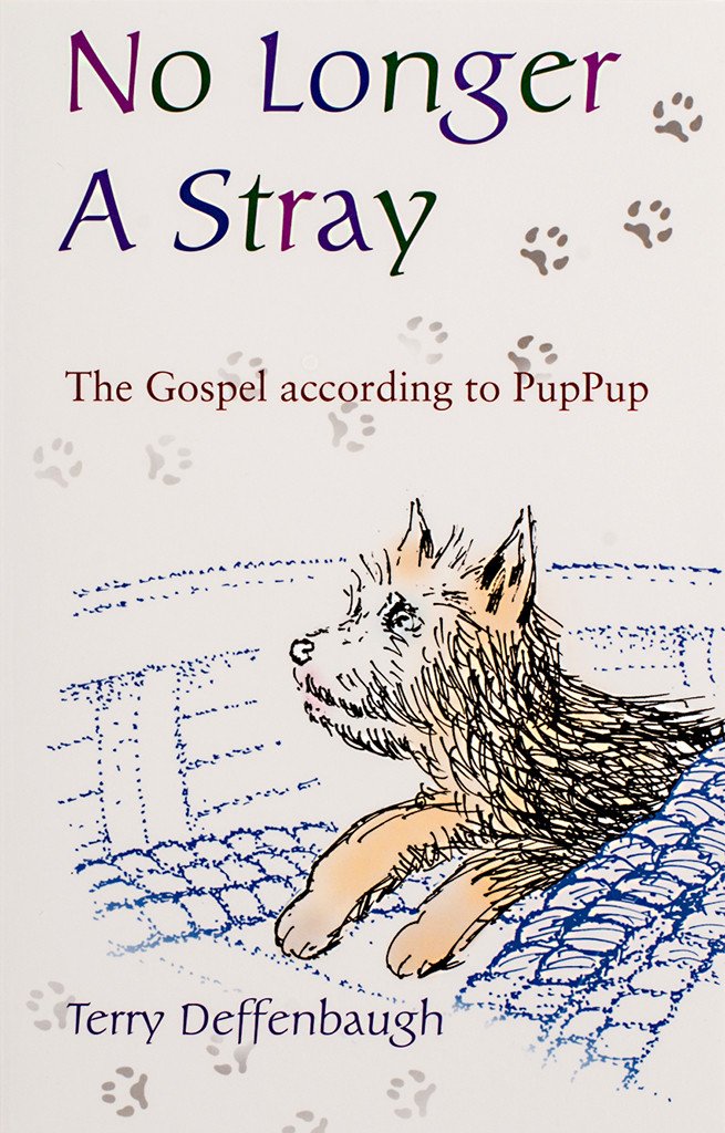 No Longer a Stray - Scepter Publishers