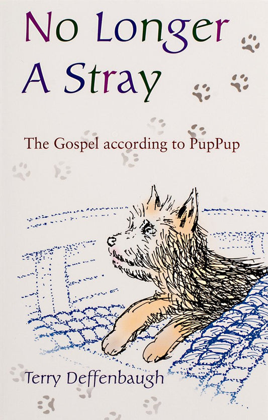 No Longer a Stray - Scepter Publishers