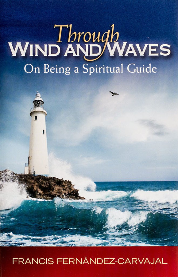 Through Wind and Waves: On Being a Spiritual Guide - Scepter Publishers